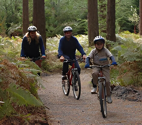 Cycle tracks at Haldon Forest